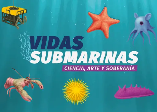 La Provincia inaugura “Vidas submarinas - Ciencia, arte y soberanía”
